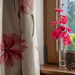 Edelweiss Park 3* بانسكو
