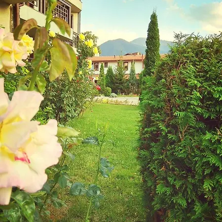 Edelweiss Park 3* بانسكو