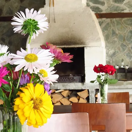 Hotel Edelweiss Park