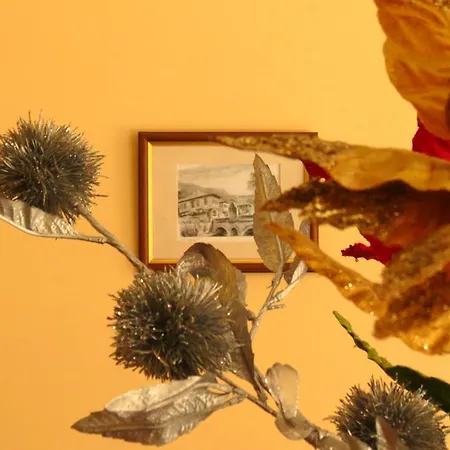 Edelweiss Park Hotel 3*