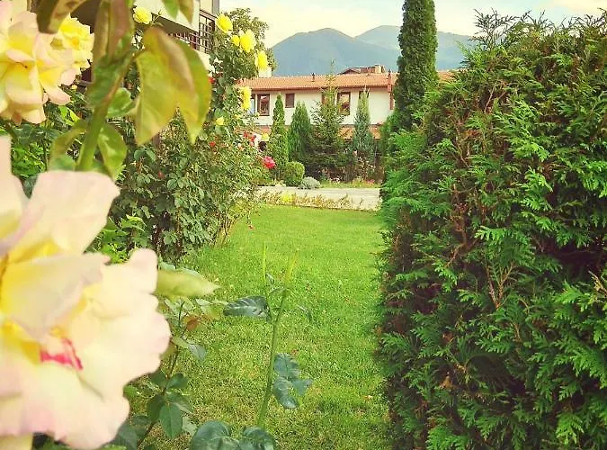 Edelweiss Park 3* בנסקו