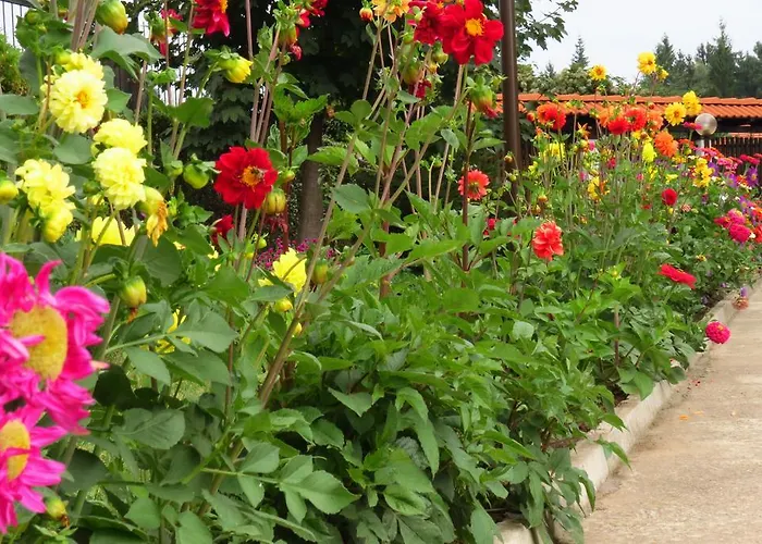 호텔 Edelweiss Park 반스코